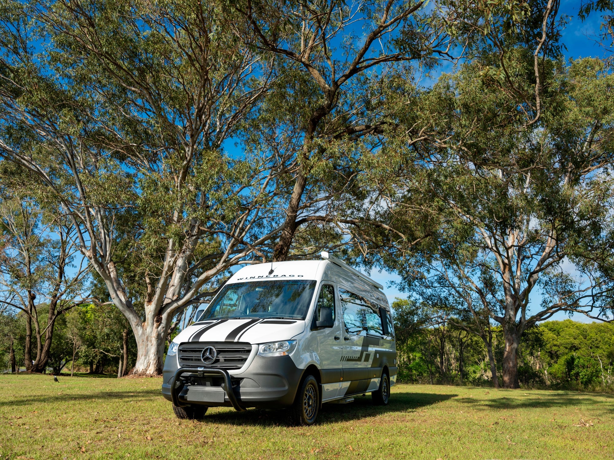 LIMITED EDITION | WINNEBAGO BONDI 4S Sport