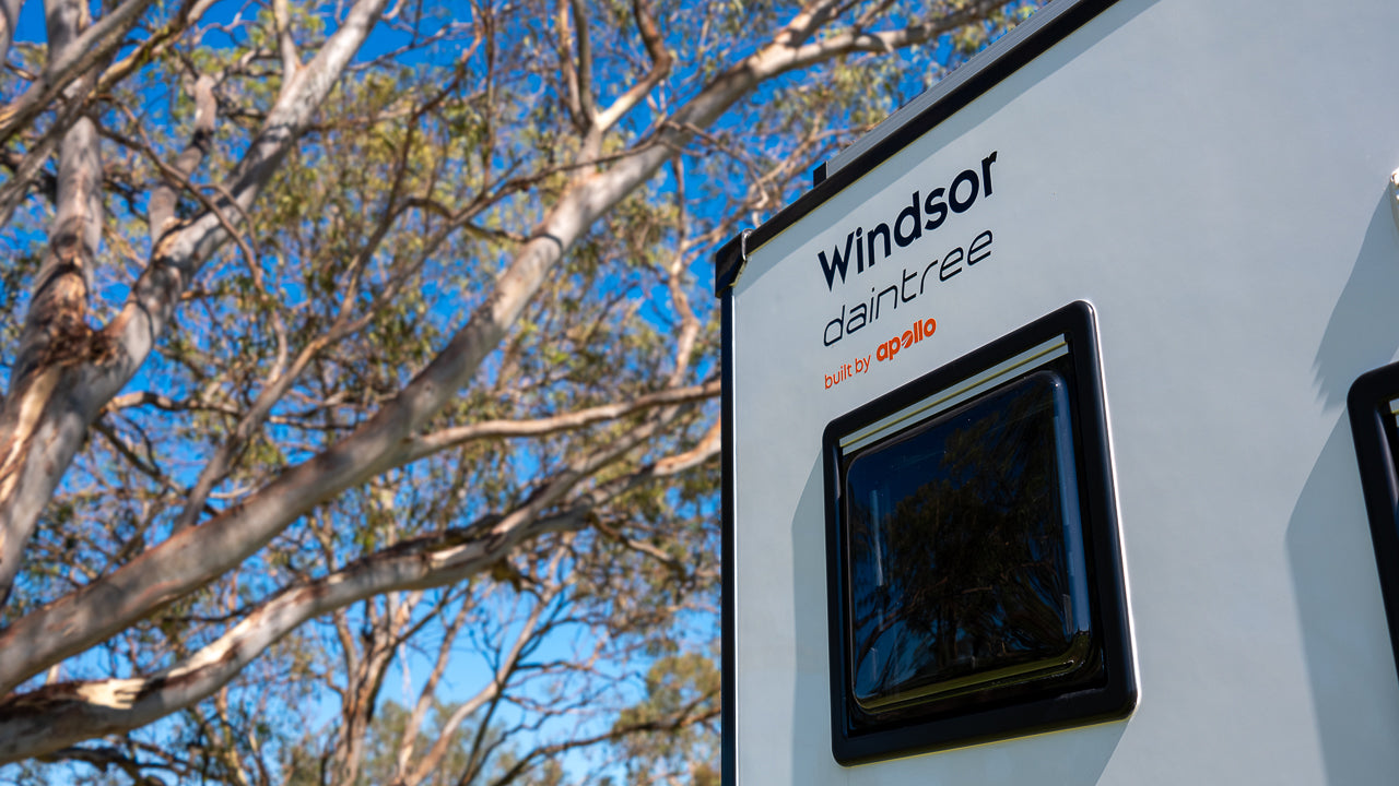 WINDSOR DAINTREE