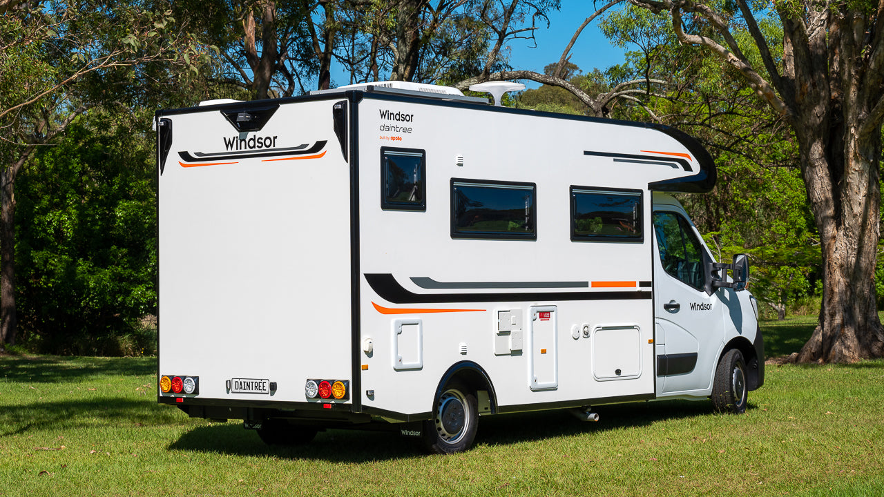 WINDSOR DAINTREE